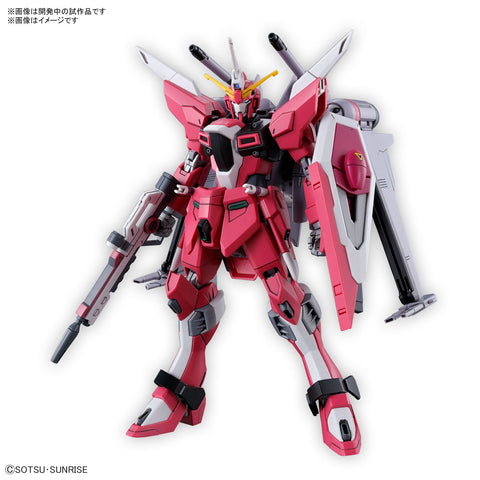 Mobile Suit Gundam SEED Freedom HGUC Infinite Justice Gundam Type II 1/144 Scale Model Kit
